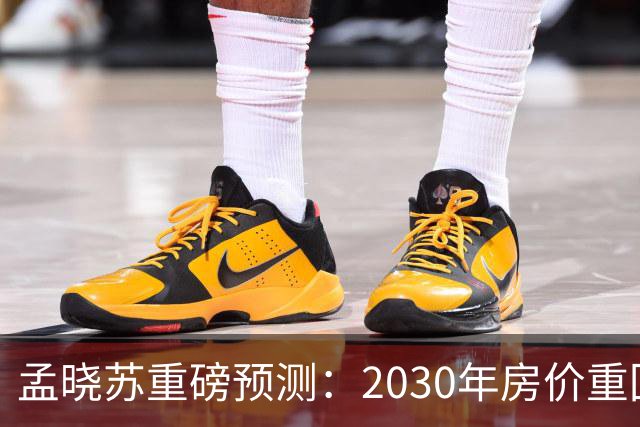 孟晓苏重磅预测：2030年房价重回前高没有悬念
