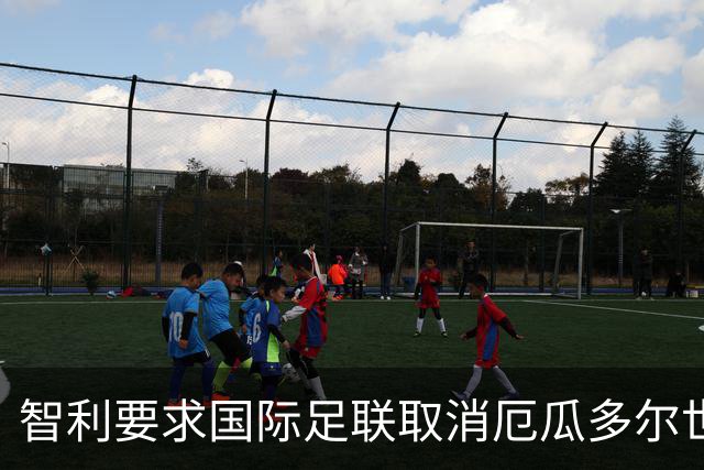 智利要求国际足联取消厄瓜多尔世界杯参赛资格