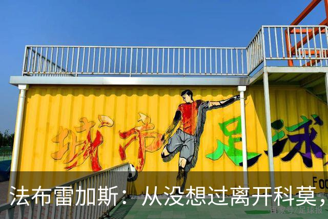 法布雷加斯：从没想过离开科莫，一想这事可能就到头了