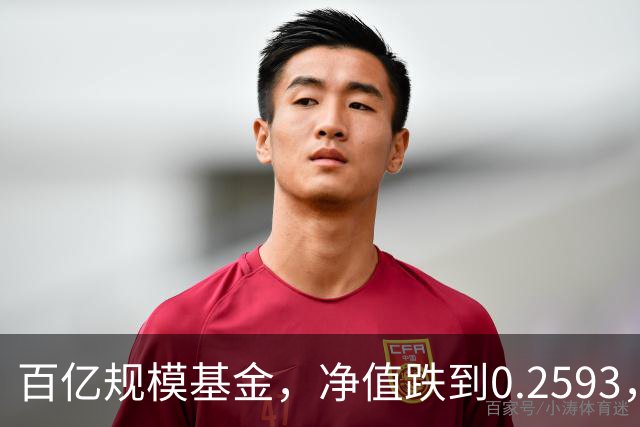 百亿规模基金，净值跌到0.2593，暴跌74%，亏得基民都不敢看账户