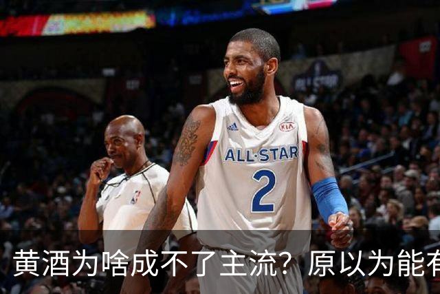 黄酒为啥成不了主流？原以为能有共鸣，谁料评论一边倒