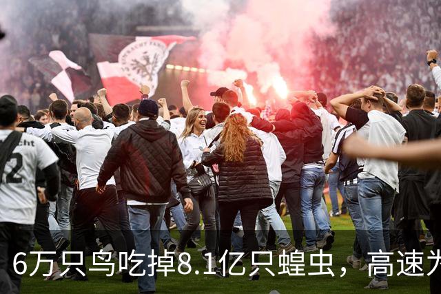 6万只鸟吃掉8.1亿只蝗虫，高速为它们停工一个月